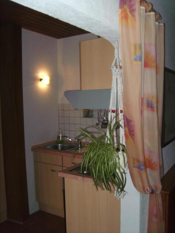 Ferienwohnung Evangeline Borsch Zell an der Mosel Exterior foto